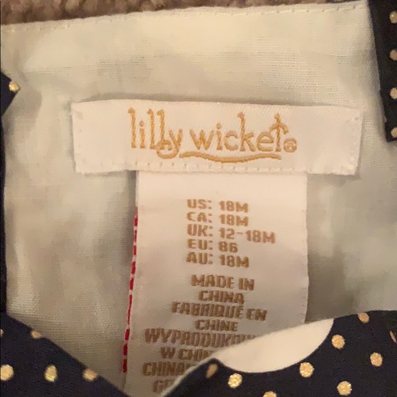 Lilly Wicket Holiday/ Formal pocka-dot dress - Picture 4 of 4